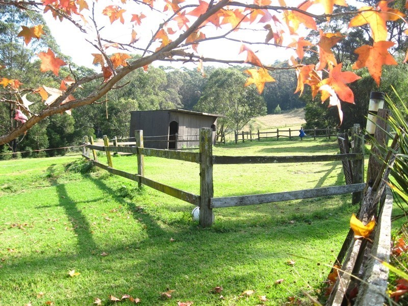 1250 Illaroo Road, Tapitallee NSW 2540