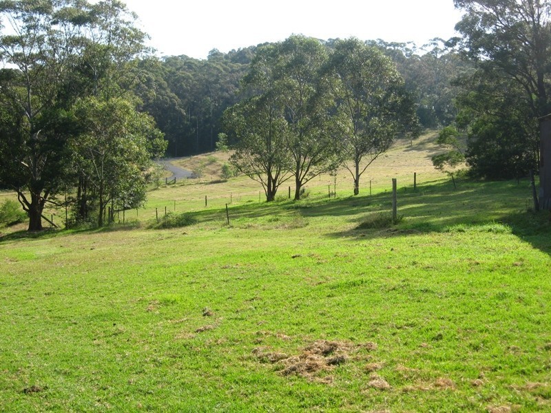 1250 Illaroo Road, Tapitallee NSW 2540