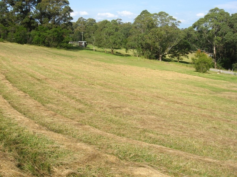 1250 Illaroo Road, Tapitallee NSW 2540