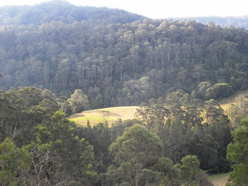 928 Wattamolla Road, Wattamolla NSW 2535