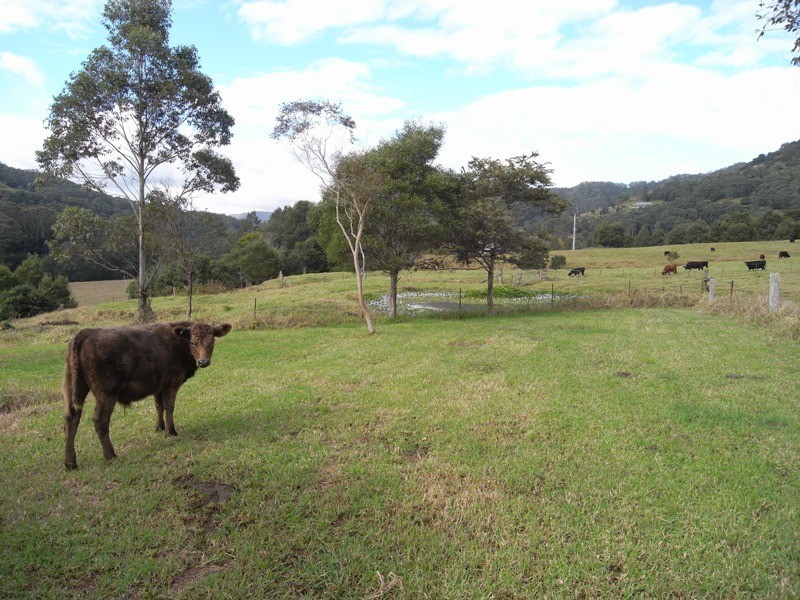 928 Wattamolla Road, Kangaroo Valley NSW 2577