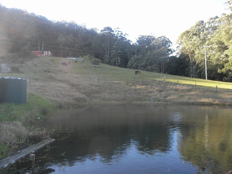 1195 Bugong Road, Kangaroo Valley NSW 2577