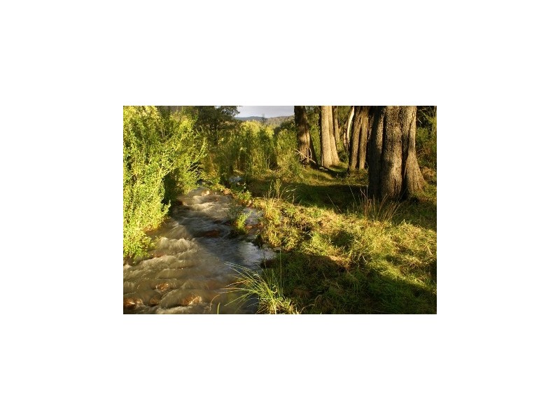 170 Walkers Lane, Kangaroo Valley NSW 2577