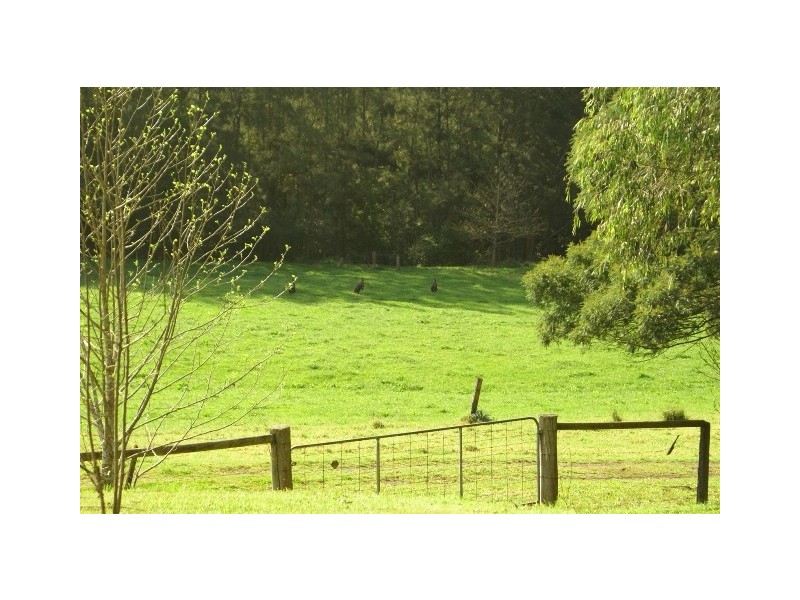 214 Allans Road, Barrengarry NSW 2577