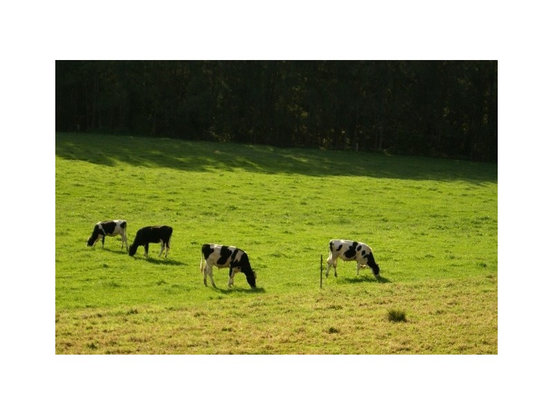 214 Allans Road, Barrengarry NSW 2577