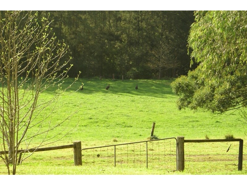 214 Allans Road, Kangaroo Valley NSW 2577