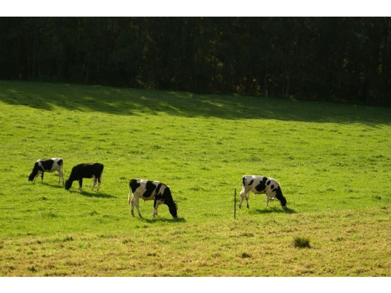 214 Allans Road, Kangaroo Valley NSW 2577