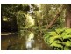 105 Green Valley Rd, Kangaroo Valley NSW 2577