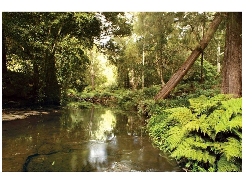 105 Green Valley Rd, Kangaroo Valley NSW 2577