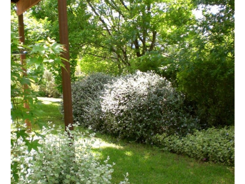 49 Moss Vale Rd, Kangaroo Valley NSW 2577