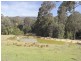 698 Bugong Fire Trail, Kangaroo Valley NSW 2577