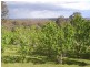 698 Bugong Fire Trail, Kangaroo Valley NSW 2577