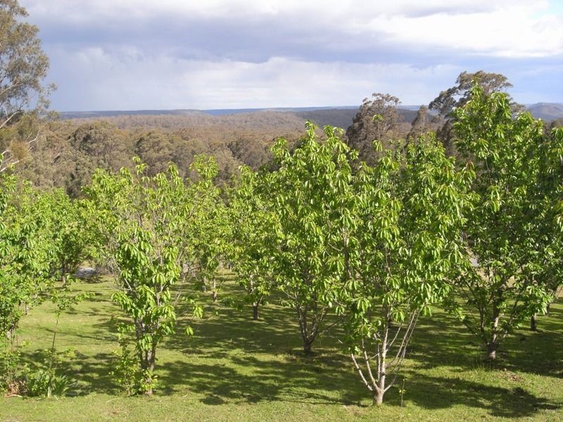 698 Bugong Fire Trail, Kangaroo Valley NSW 2577