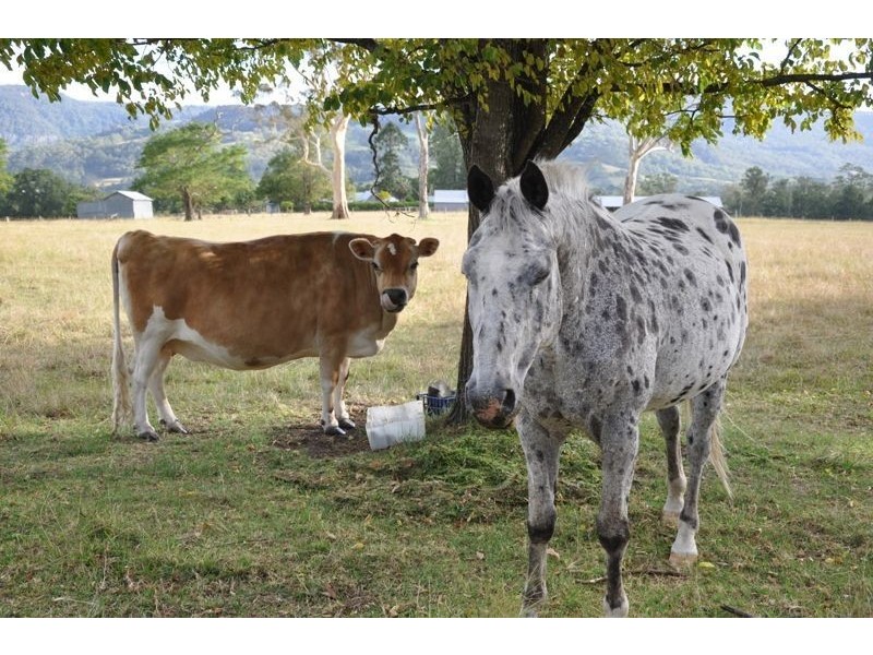 2168 Moss Vale Rd, Kangaroo Valley NSW 2577