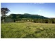 1536 Kangaroo Valley Rd, Kangaroo Valley NSW 2577