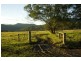 1536 Kangaroo Valley Rd, Kangaroo Valley NSW 2577