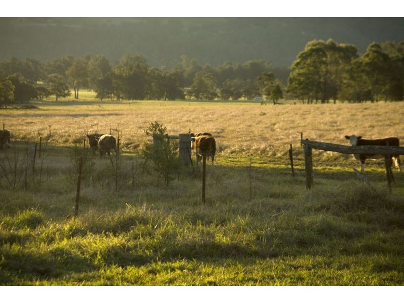 1536 Kangaroo Valley Rd, Kangaroo Valley NSW 2577