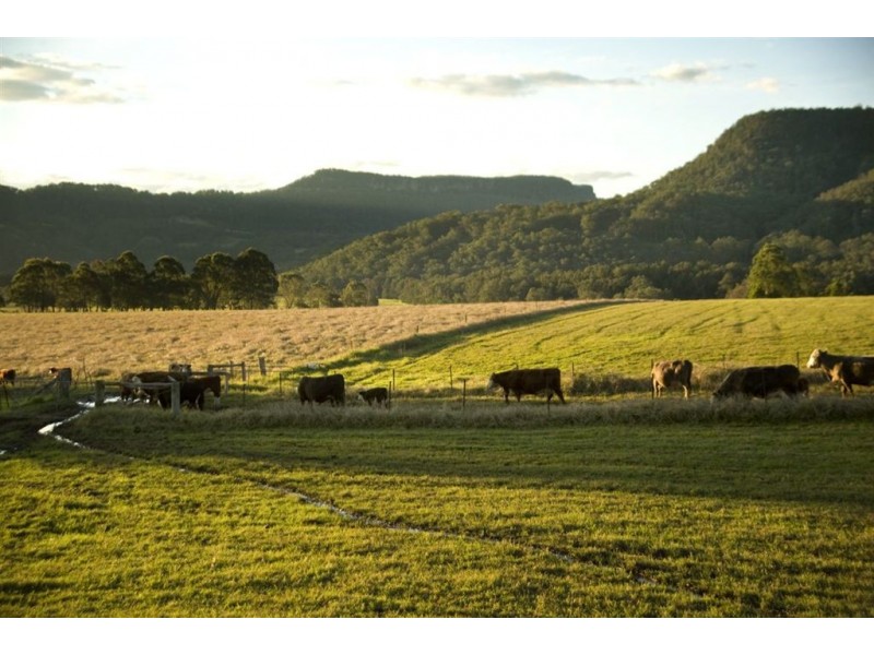 1536 Kangaroo Valley Rd, Kangaroo Valley NSW 2577