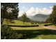 225 Jarretts Lane, Kangaroo Valley NSW 2577