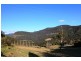 225 Jarretts Lane, Kangaroo Valley NSW 2577