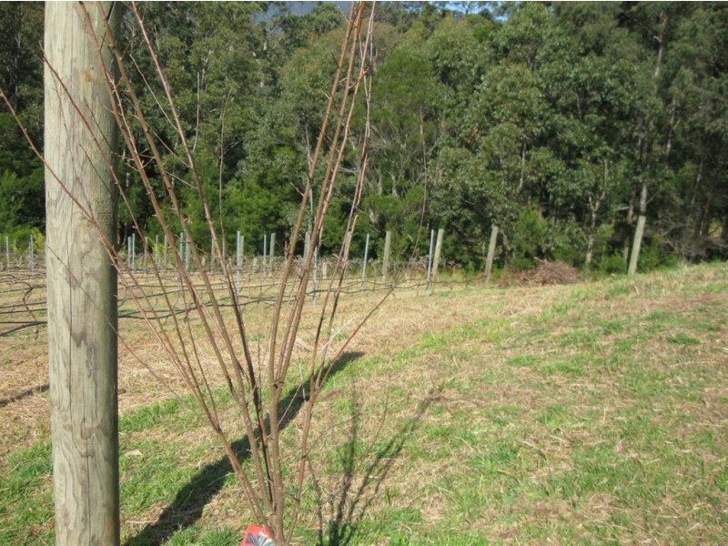1521d Moss Vale Road, Kangaroo Valley NSW 2577