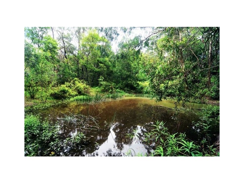 673c Tallowa Dam Road, Kangaroo Valley NSW 2577