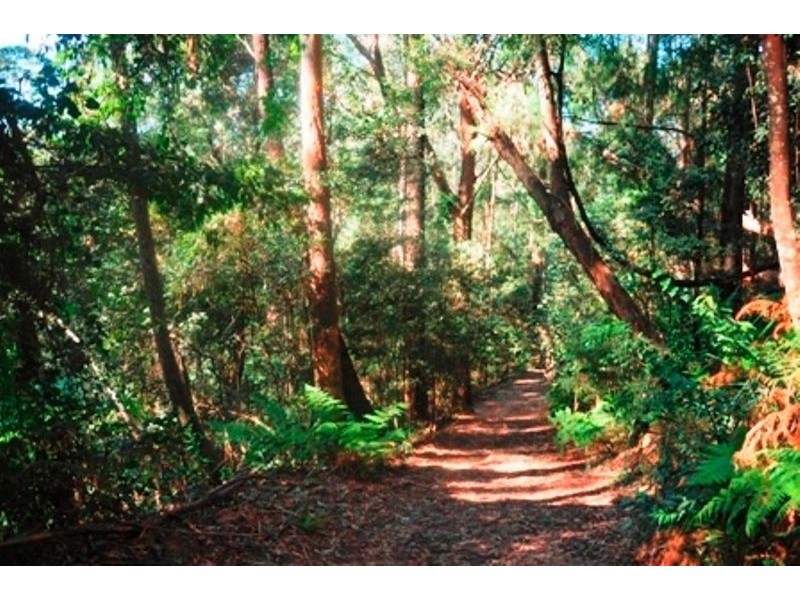 120 Parrishs Road, Upper Kangaroo River, Kangaroo Valley NSW 2577