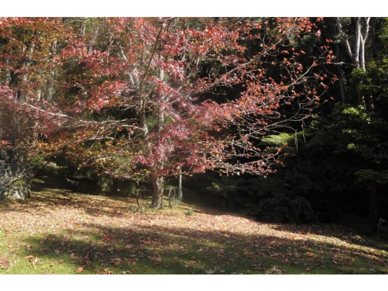 120 Parrishs Road, Upper Kangaroo River, Kangaroo Valley NSW 2577