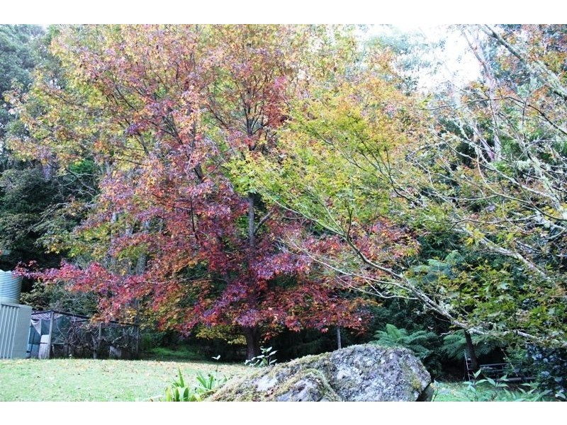 120 Parrishs Road, Upper Kangaroo River, Kangaroo Valley NSW 2577