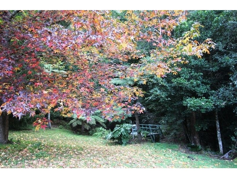 120 Parrishs Road, Upper Kangaroo River, Kangaroo Valley NSW 2577