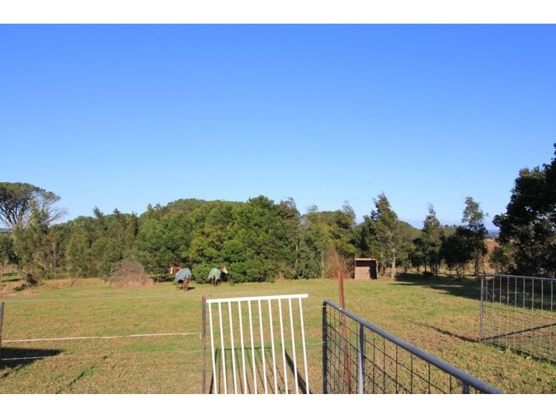 23 Fahl Lane, Jaspers Brush NSW 2535