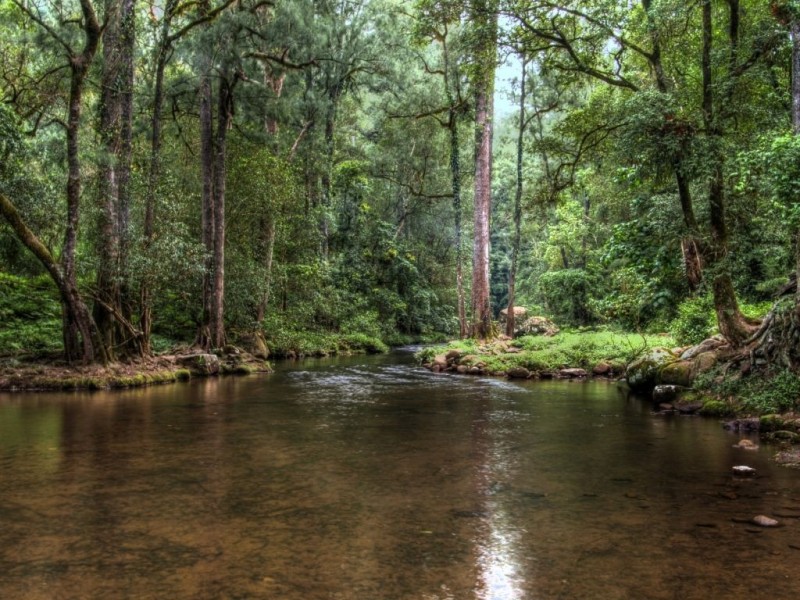 Lot A Bunkers Hill Road, Kangaroo Valley NSW 2577