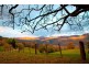 Lot A Bunkers Hill Road, Kangaroo Valley NSW 2577