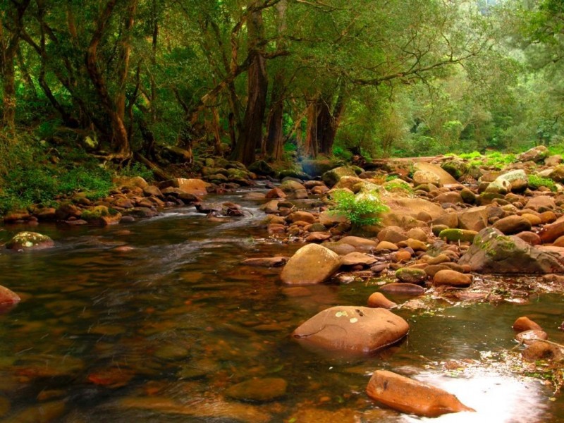 Lot A Bunkers Hill Road, Kangaroo Valley NSW 2577