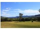 1183 Wattamolla Road, Kangaroo Valley NSW 2577