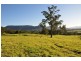 1183 Wattamolla Road, Kangaroo Valley NSW 2577