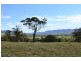 1183 Wattamolla Road, Kangaroo Valley NSW 2577