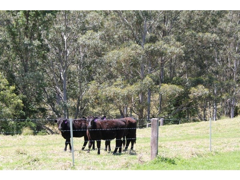 2 Smarts Rd, Kangaroo Valley NSW 2577