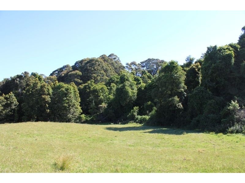 Lot 307 Carrington Road, Cambewarra NSW 2540