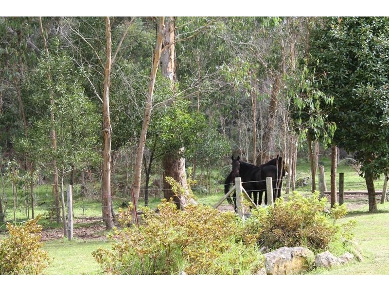 1210 Nowra Road, Fitzroy Falls NSW 2577