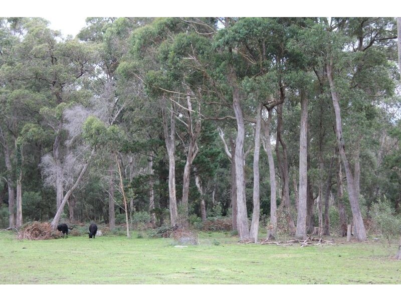 1210 Nowra Road, Fitzroy Falls NSW 2577