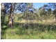 Lot 1 Moss Vale Rd, Kangaroo Valley NSW 2577