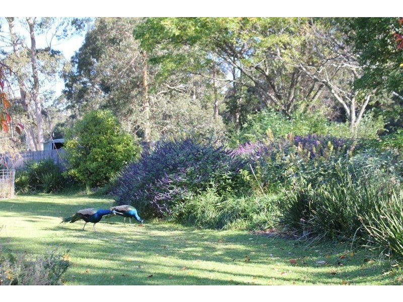 706A Jacks Corner Road, Kangaroo Valley NSW 2577
