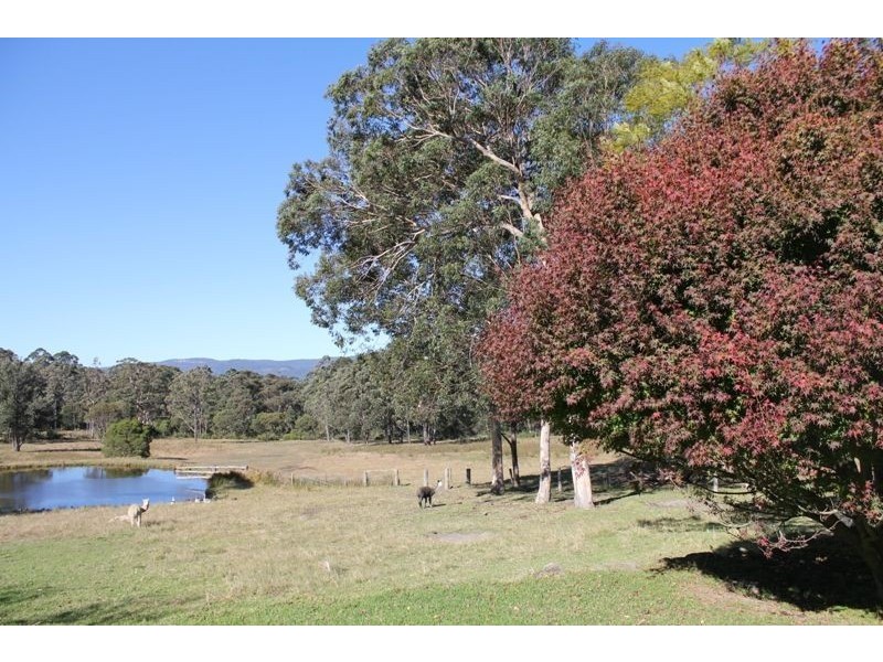 706A Jacks Corner Road, Kangaroo Valley NSW 2577