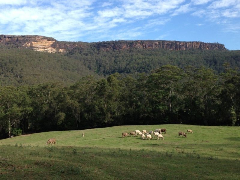 781 Upper Kangaroo River Rd, Kangaroo Valley NSW 2577