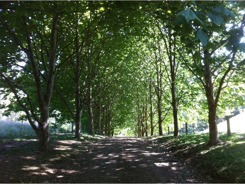 781 Upper Kangaroo River Rd, Kangaroo Valley NSW 2577