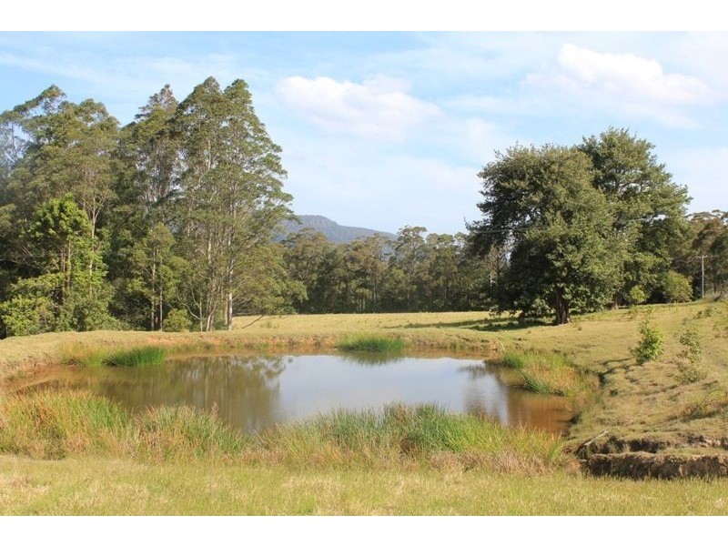 1195 Bugong Rd, Kangaroo Valley NSW 2577