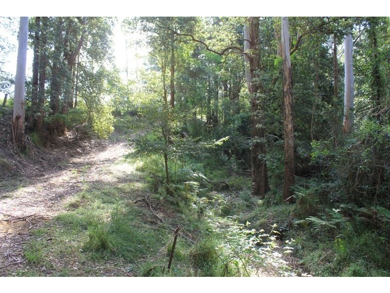 1195 Bugong Rd, Kangaroo Valley NSW 2577
