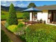 1699 Moss Vale Rd, Kangaroo Valley NSW 2577