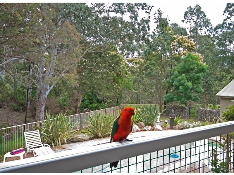 4 Rectory Park Way, Kangaroo Valley NSW 2577